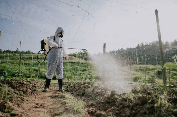 Best Pest Prevention Services  in Sneedville, TN