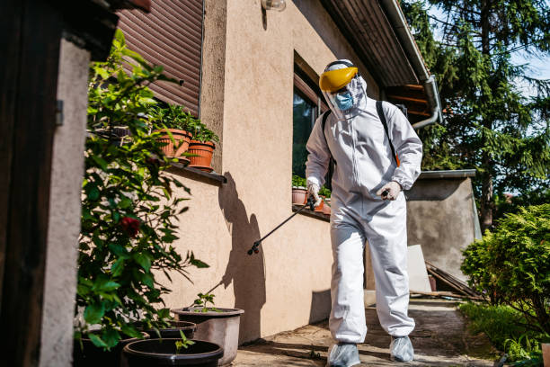 Best Pest Prevention Services  in Sneedville, TN