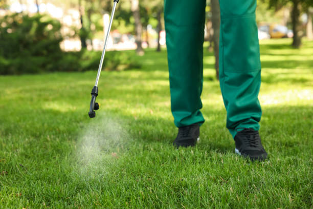Best Exterminator Services  in Sneedville, TN