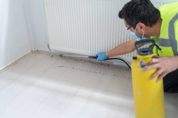 Best Ant Control Services  in Sneedville, TN