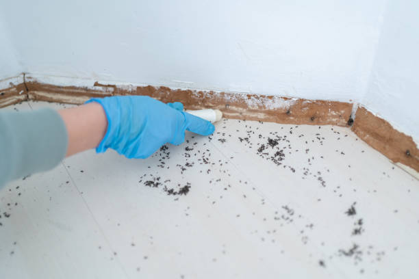 Best Pest Prevention Services  in Sneedville, TN