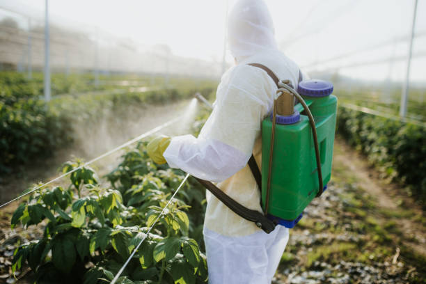 Best Emergency Pest Control  in Sneedville, TN